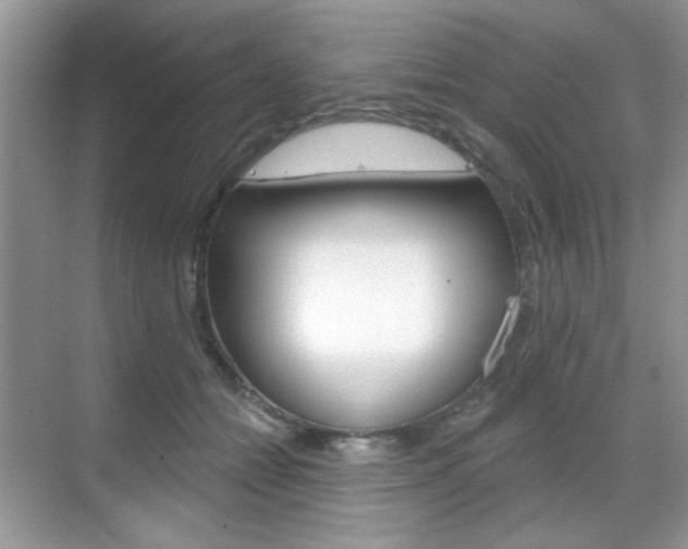 X0000069400558200605121026