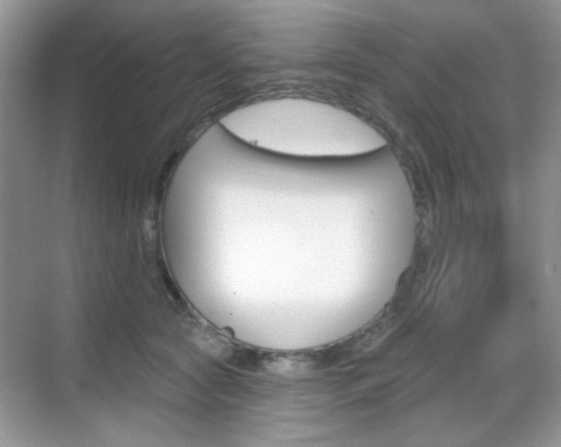 X0000069400561200605121026