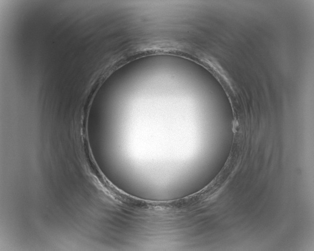 X0000069400585200605121025