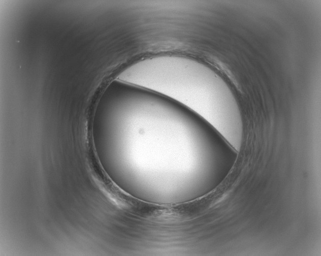 X0000069400589200605121025