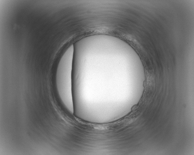 X0000069400591200605121025