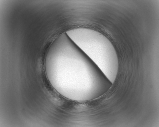 X0000069400594200605121025