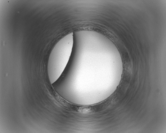 X0000069400602200605121025