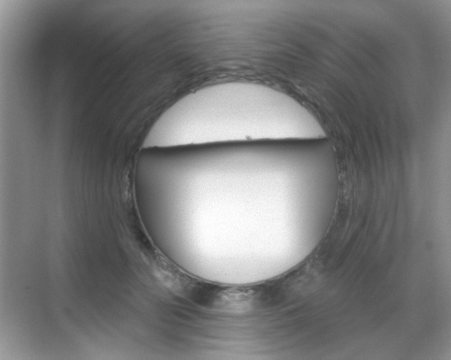 X0000069400606200605121025