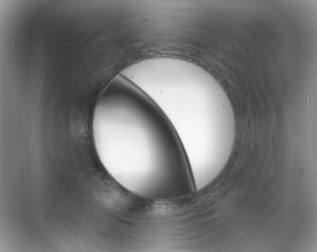 X0000069400608200605121025