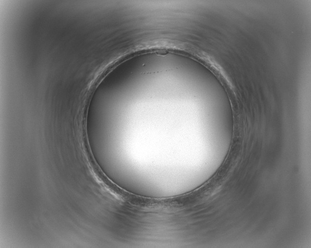 X0000069400625200605121024