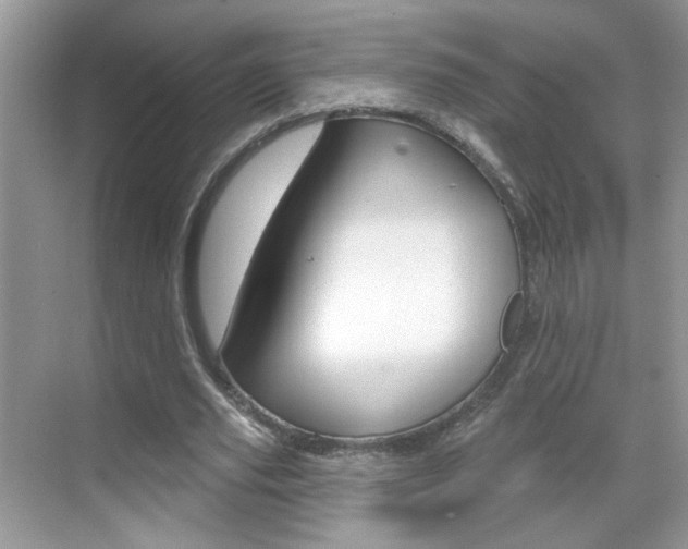 X0000069400629200605121024