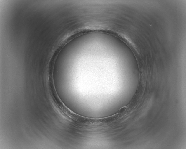 X0000069400631200605121024