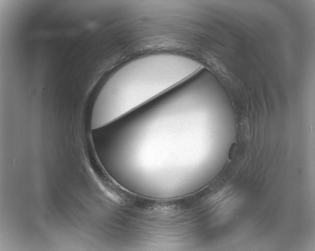 X0000069400638200605121024