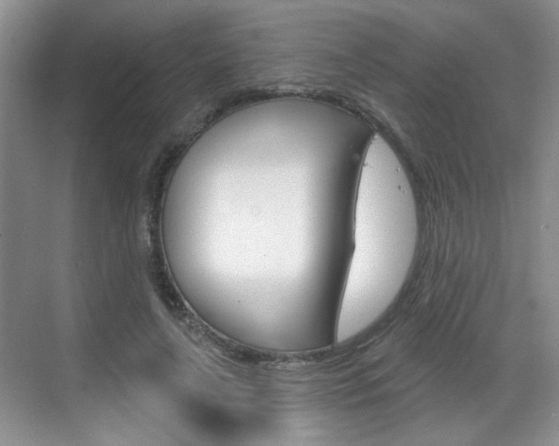 X0000069400643200605121024