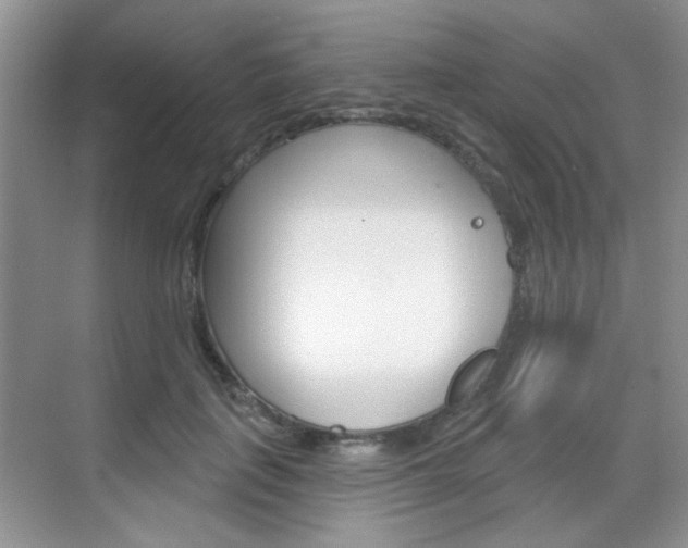 X0000069400651200605121024