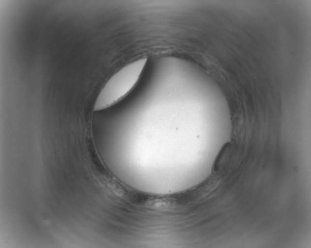 X0000069400655200605121024