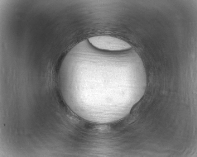 X0000069400659200605121024
