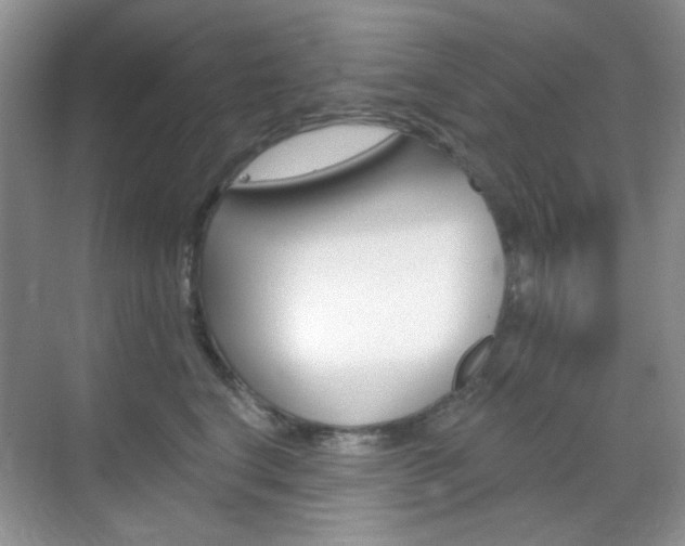 X0000069400664200605121024