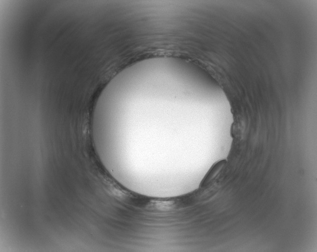 X0000069400665200605121024