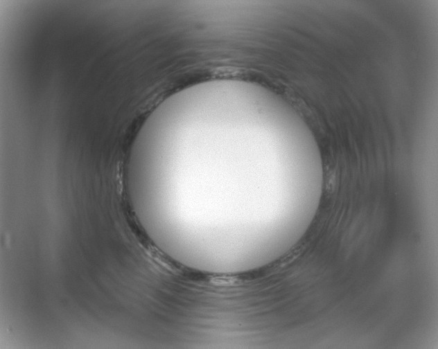X0000069400666200605121024