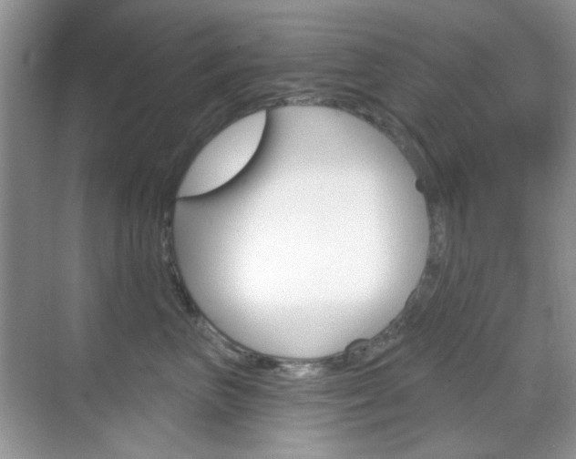X0000069400667200605121024