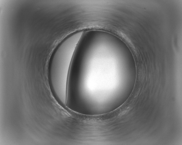 X0000069400673200605121024