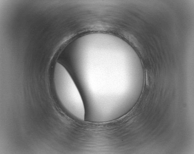 X0000069400675200605121024