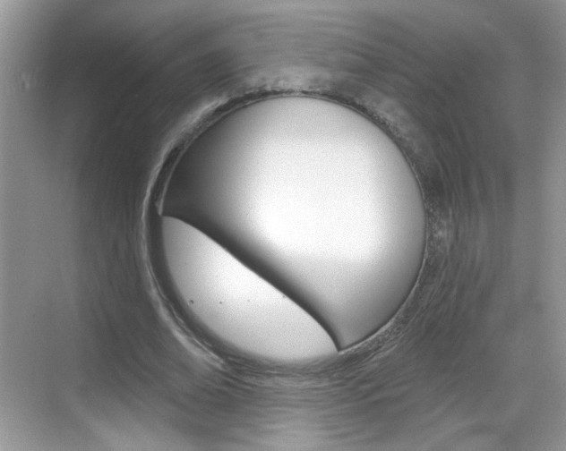 X0000069400678200605121024