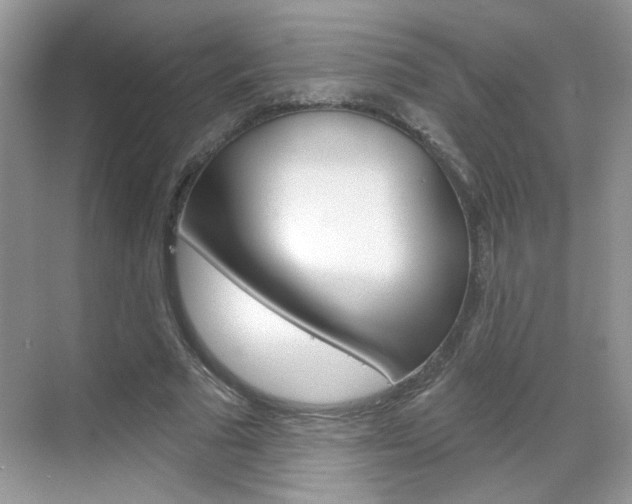 X0000069400681200605121024
