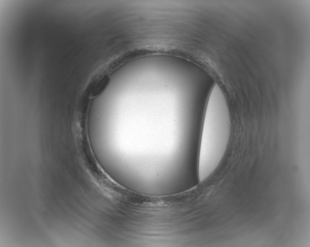 X0000069400688200605121023