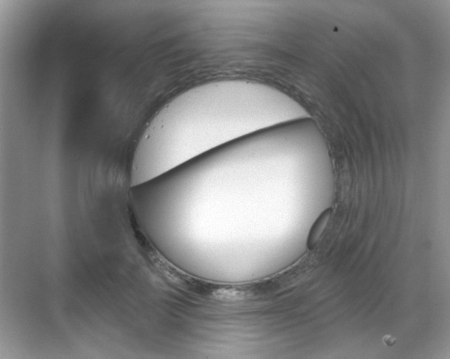 X0000069400699200605121023