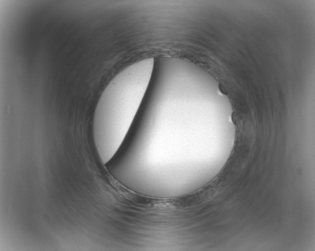 X0000069400702200605121023