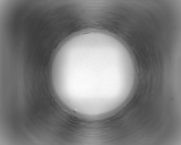 X0000069400705200605121023