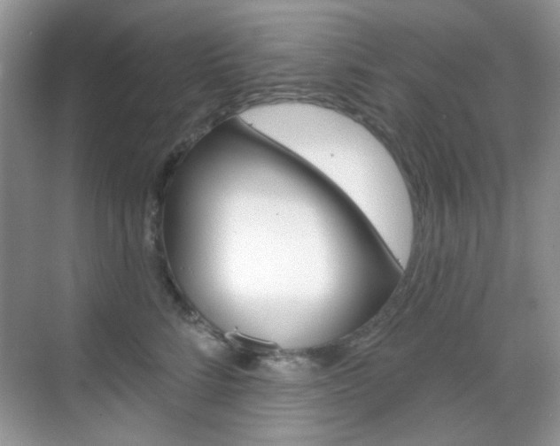 X0000069400712200605121023