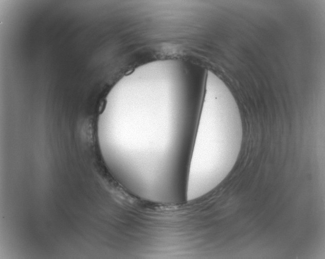 X0000069400715200605121023