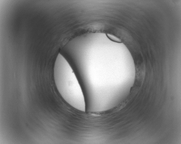 X0000069400718200605121023