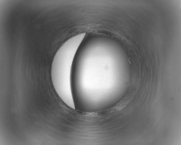 X0000069400720200605121023