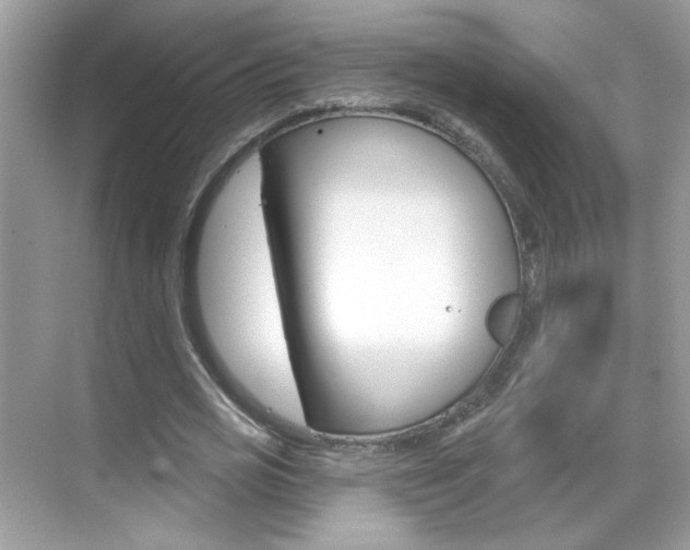 X0000069400725200605121022