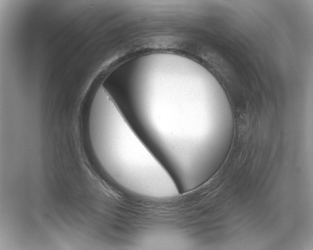 X0000069400727200605121022