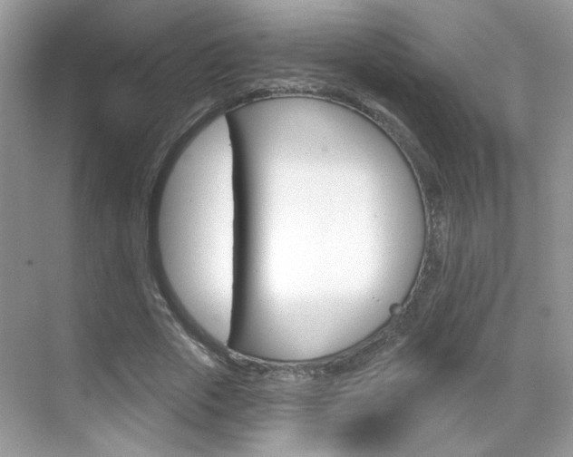X0000069400729200605121022