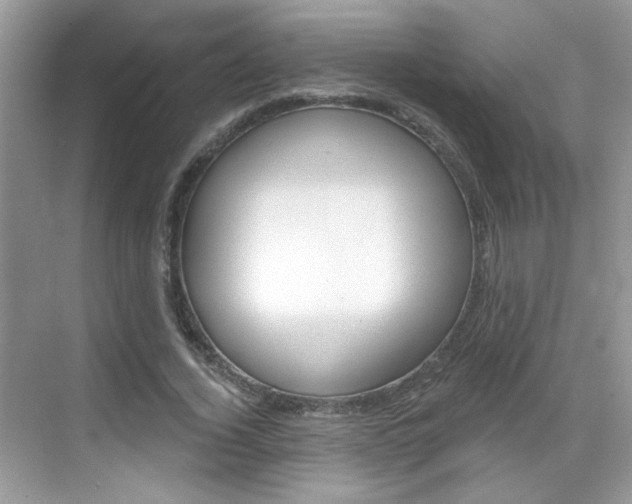 X0000069400732200605121022