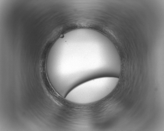 X0000069400738200605121022