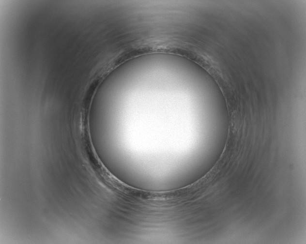 X0000069400740200605121022