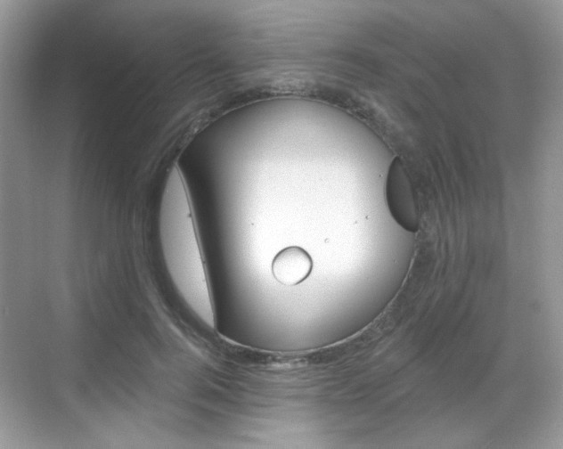 X0000069400744200605121023