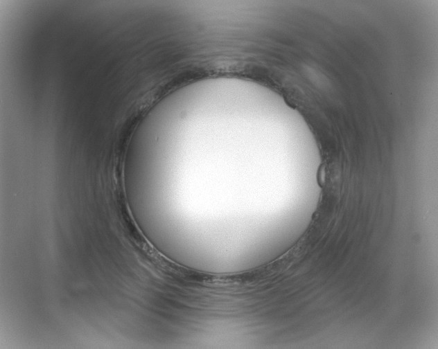 X0000069400746200605121023