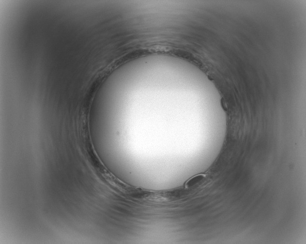 X0000069400747200605121023
