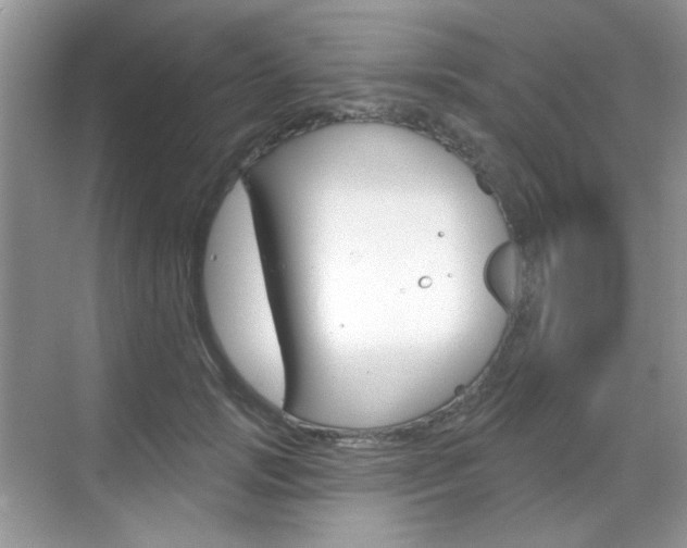 X0000069400749200605121023