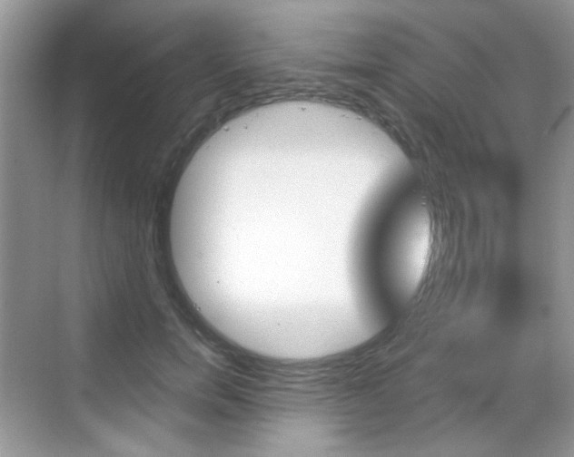 X0000069400750200605121023