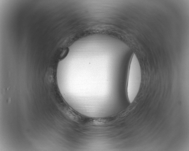X0000069400758200605121023