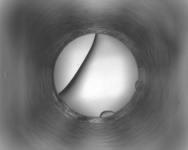 X0000069400761200605121023