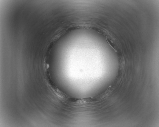X0000069400764200605121023