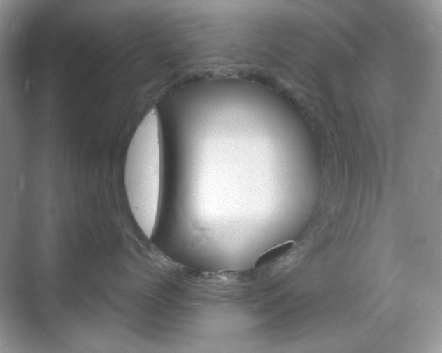 X0000069400768200605121023
