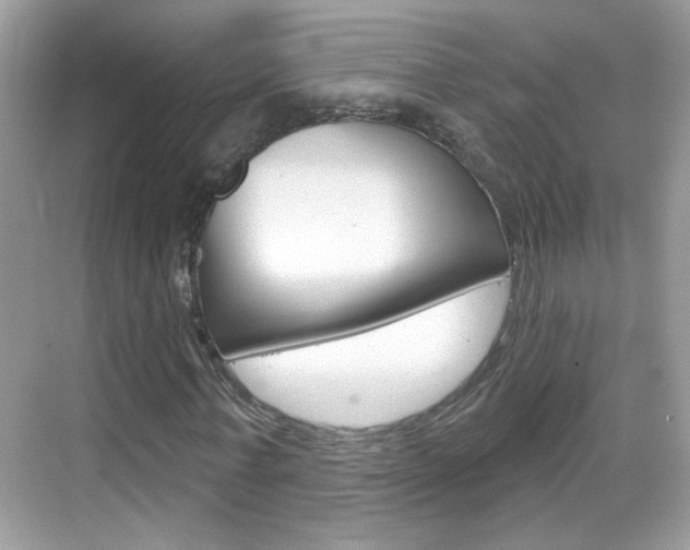 X0000069400771200605121022