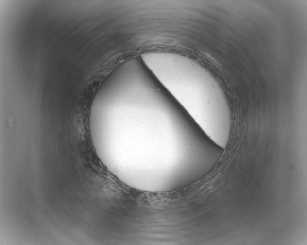 X0000069400774200605121022